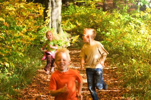 Children running through the forest