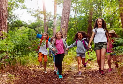 Children on an outing in the forest