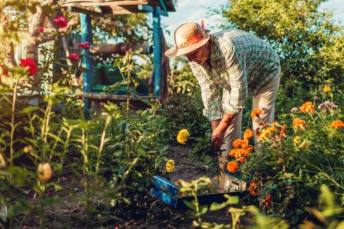 Une femme en train de jardiner