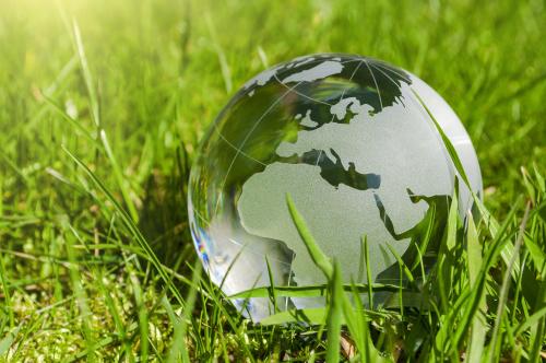 Globe couché dans l'herbe