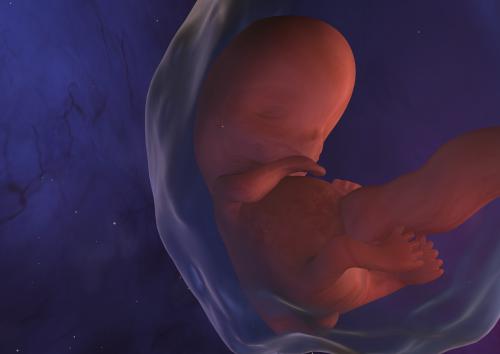 Un fœtus dans le liquide amniotique