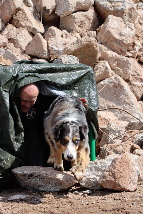 A dog and a human in the QUADRO tunnel