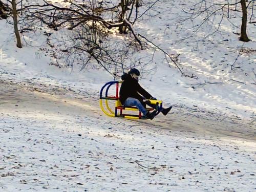 Rider on QUADRO sled goes down a hill