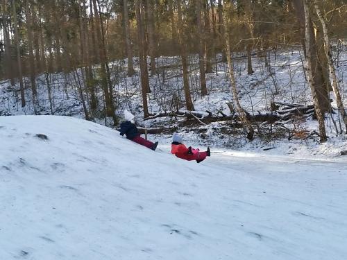 Children sliding down a slope
